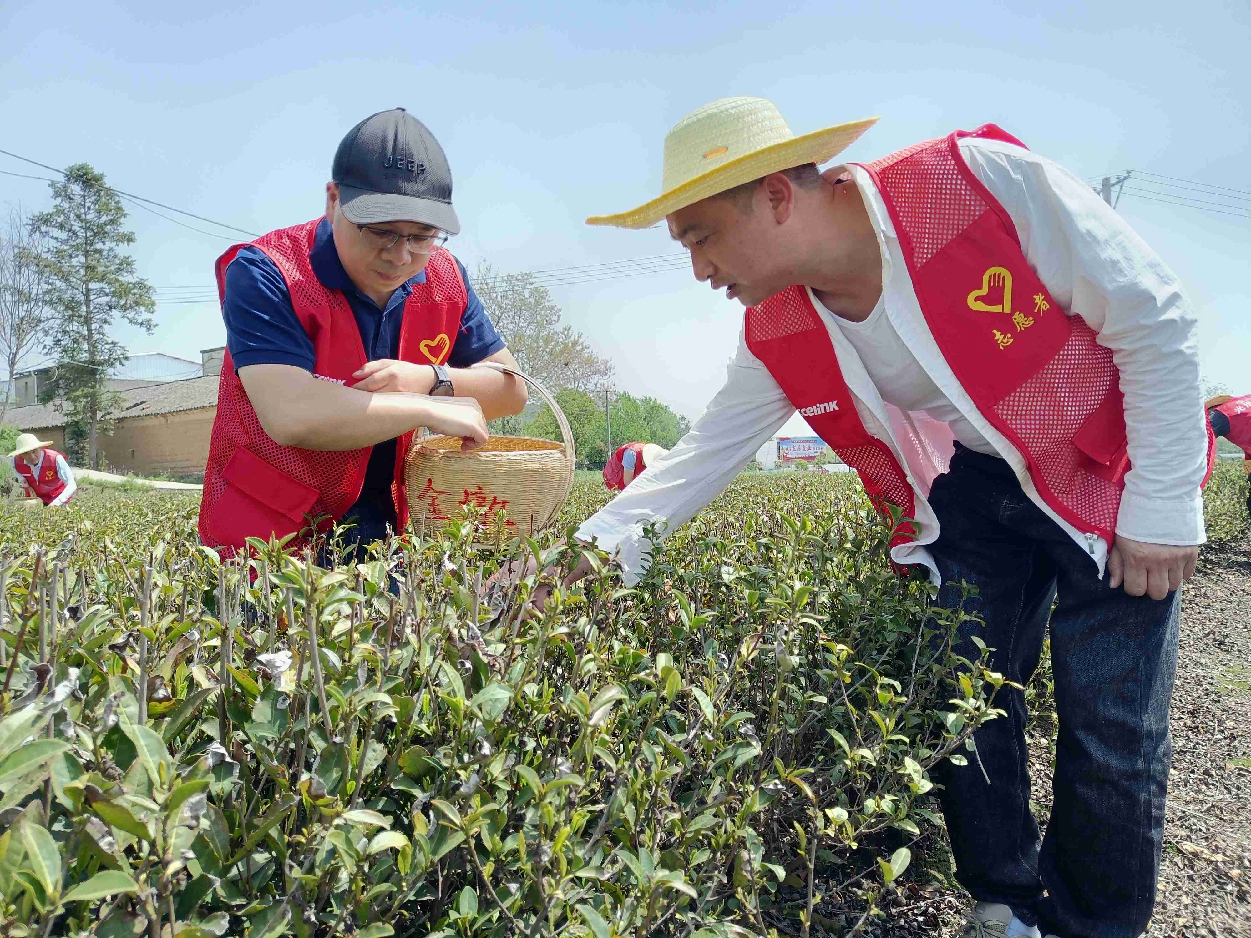 yl6809永利(中国游)官方网站